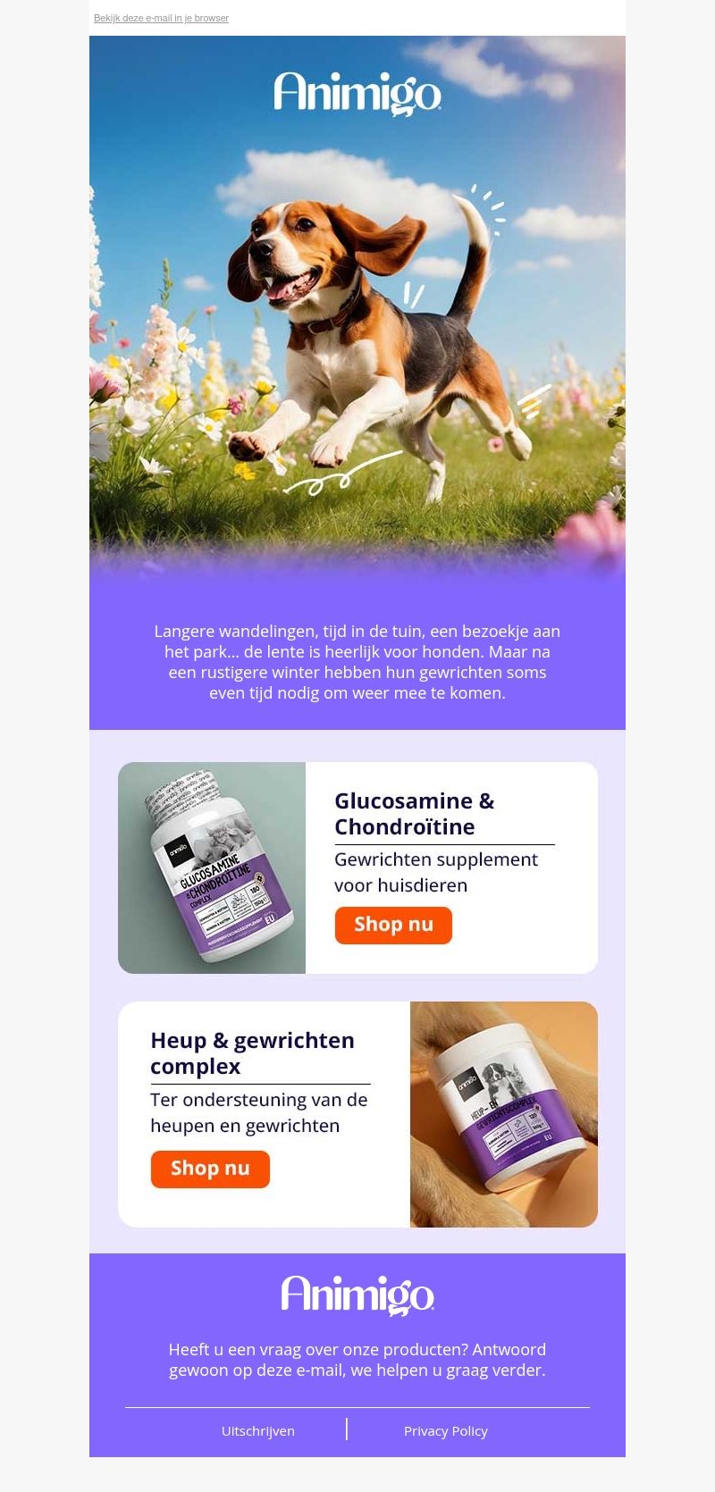 Waarom lentewandelingen juist zwaar kunnen zijn voor oudere honden Waarom lentewandelingen juist zwaar kunnen zijn voor oudere honden