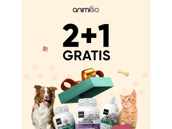 Alleen vandaag: 2+1 gratis 🐶
