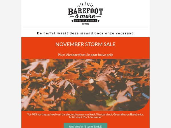 November Storm SALE