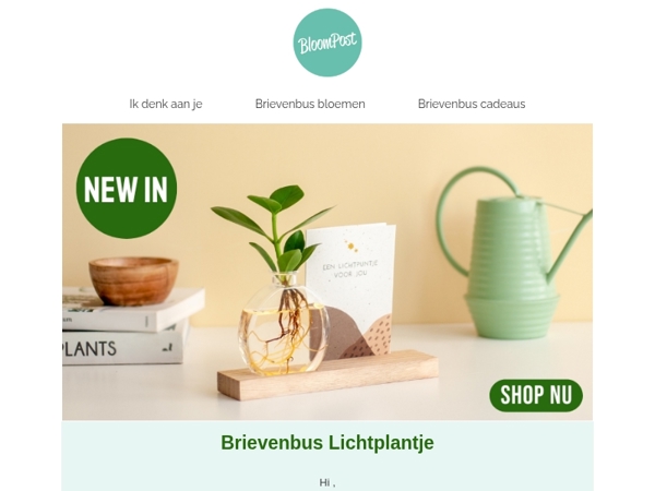 NEW IN: Brievenbus Lichtplantje ✨