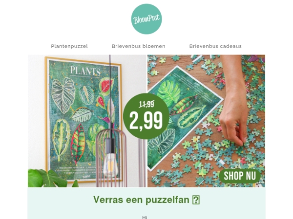 Puzzel van 11,99 voor 2,99! 😮