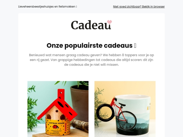 Dit zijn onze populairste cadeaus 😁🐞