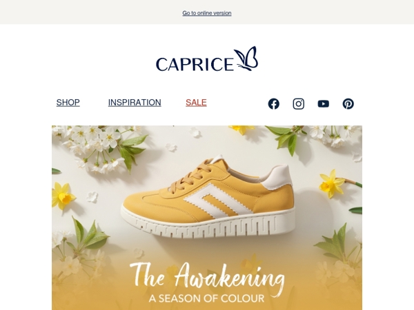 💐 More colour. More feeling. More spring