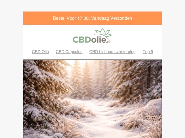 ✨ 12 Gezonde voornemens voor een stralend 2026 (+ handige tips!)