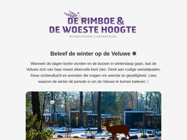 Beleef de winter op de Veluwe ❄️