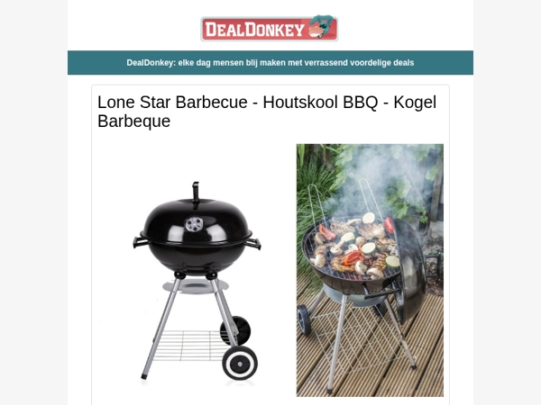 Lone Star Barbecue - HYUNDAI Onkruidbrander - QLT Vogelhuisje met geluid - Nekleeslamp - Playmobil