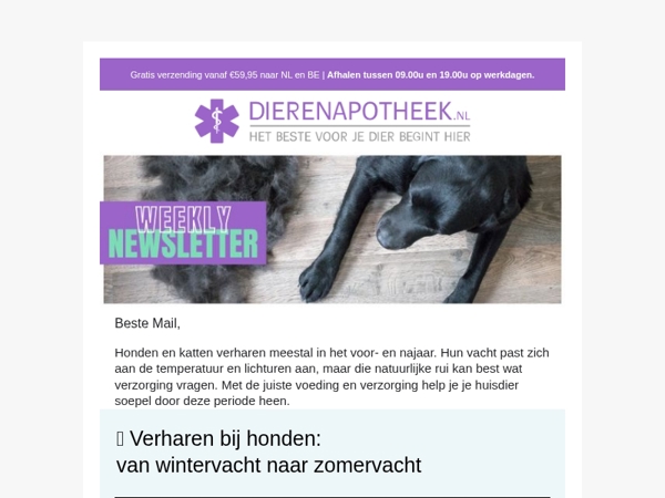 Minder haren, sterke vacht: tips voor de ruiperiode 🐶🐱