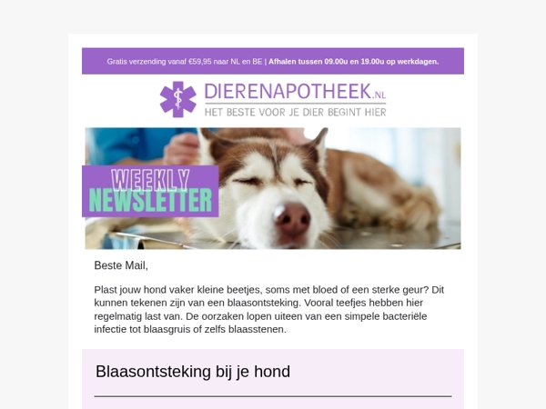 🐕 Blaasontsteking bij je hond? Zo herken je het.