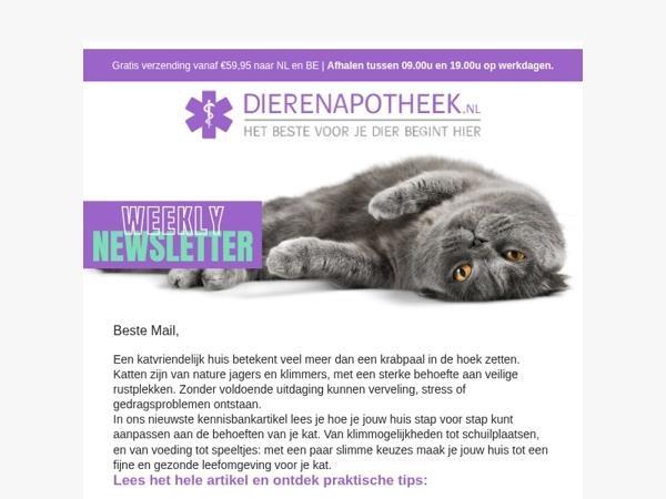 🏡 Zo maak je jouw huis écht katvriendelijk