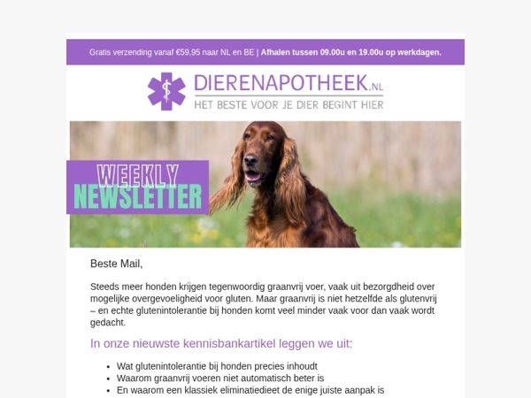 Is gluten echt slecht voor jouw hond? 🐶