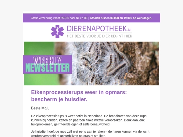 Pas op: Eikenprocessierups weer actief! 🐛
