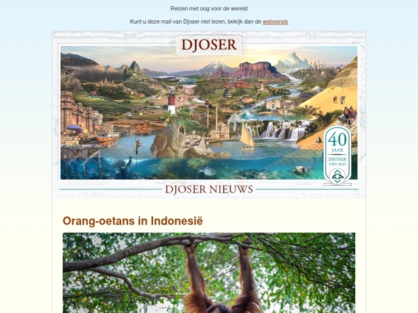 Orang-Oetans | Een dag in Fès | Smeltkroes Suriname