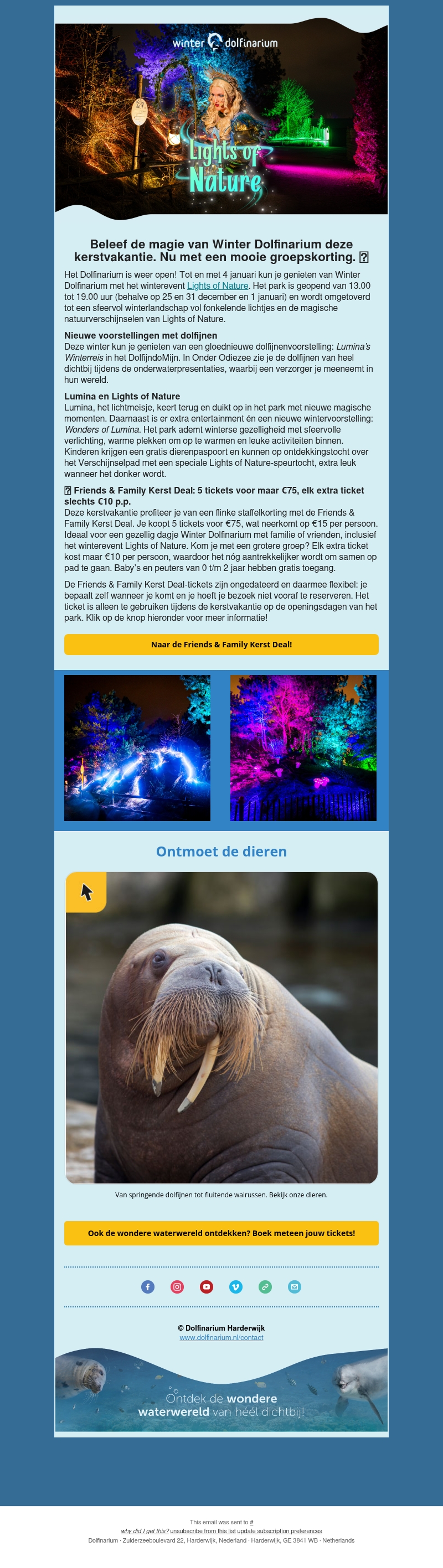 âī¸đŦ Lights of Nature is begonnen! âī¸đŦ Lights of Nature is begonnen!