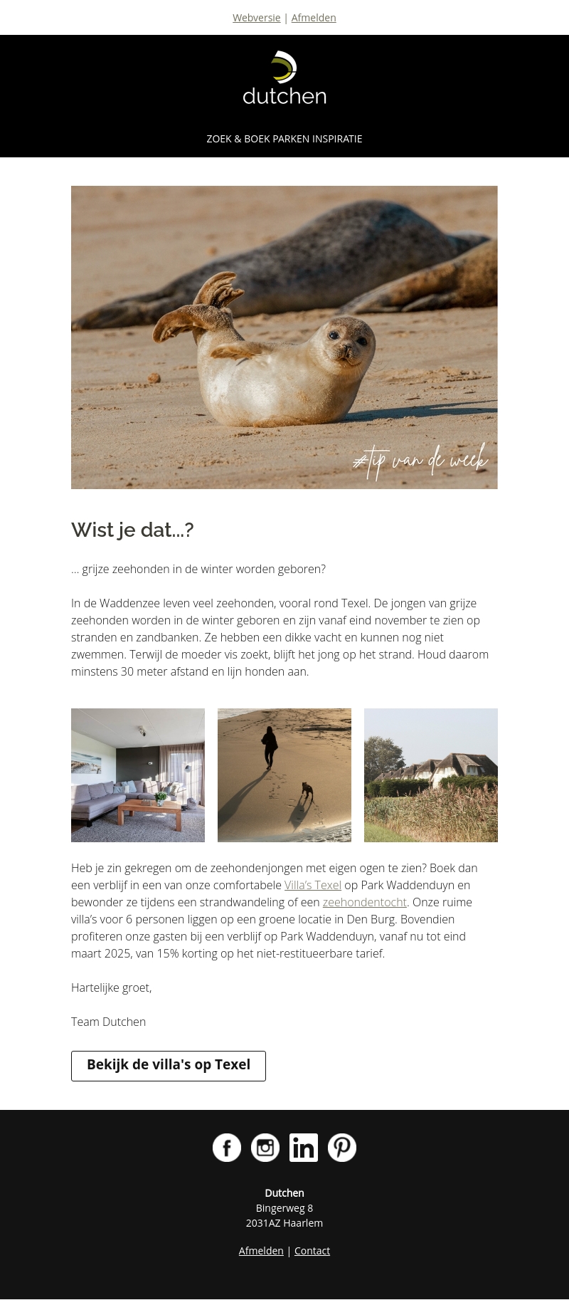 Tip van de week | zeehonden spotten op Texel Tip van de week | zeehonden spotten op Texel