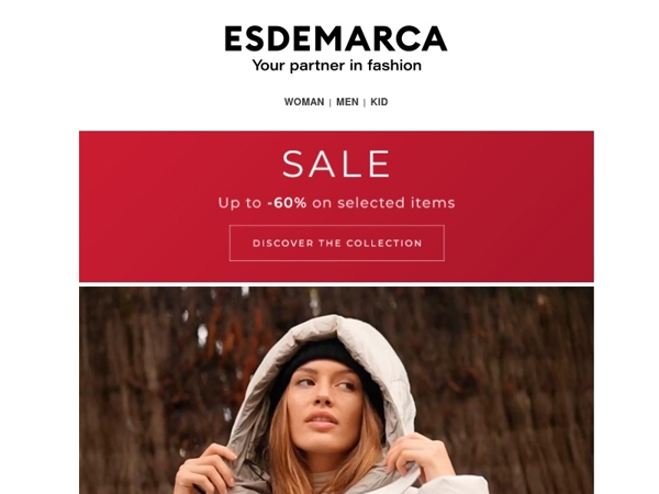 A way of understanding fashion