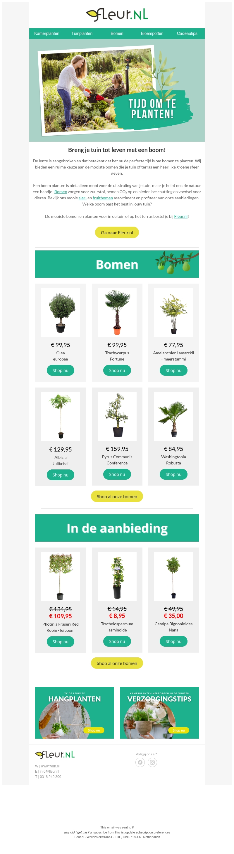 Breng leven in je tuin met bomen!🌳🌴 Breng leven in je tuin met bomen!🌳🌴