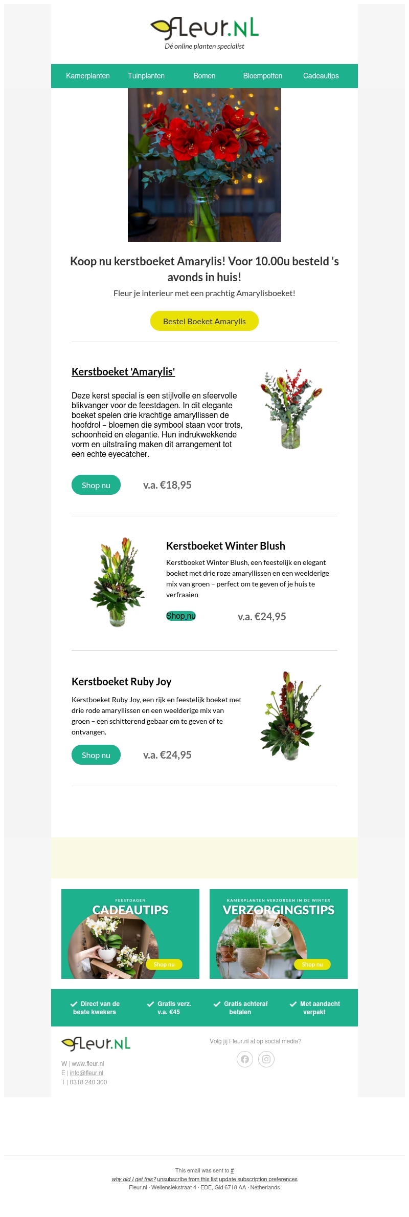 Fleur Kerstboeket Fleur Kerstboeket