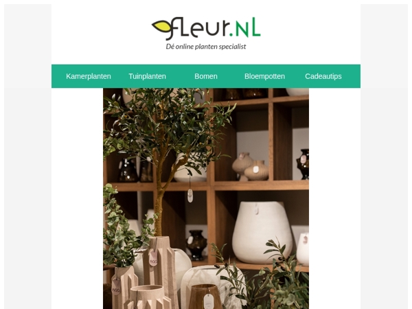 🪴 Jouw favoriete kamerplant direct in de exclusieve Isaa pot!