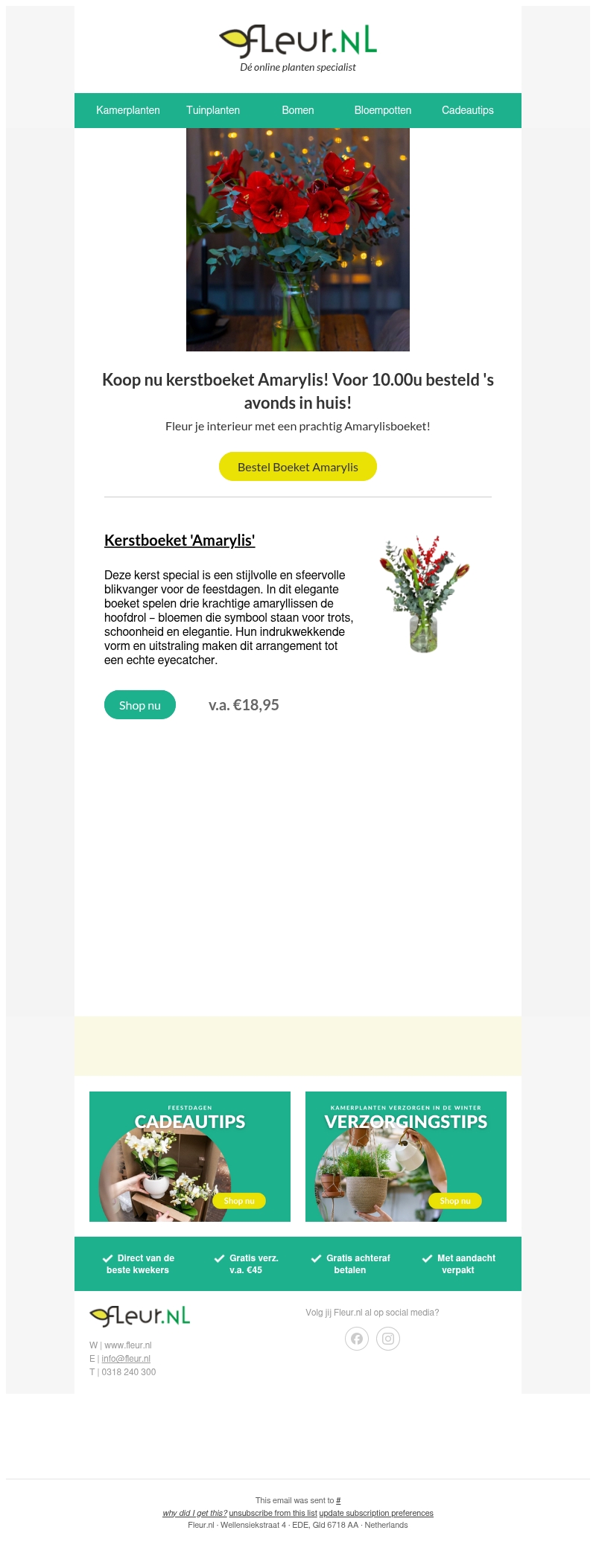 Fleur kerstboeket Fleur kerstboeket