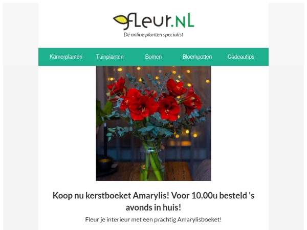 Fleur kerstboeket