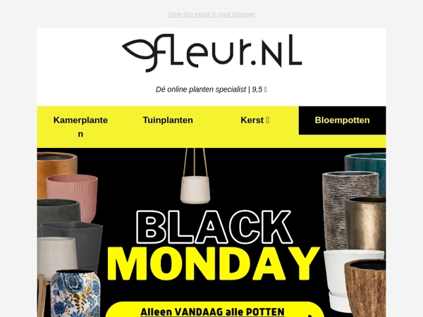 Black MONDAY - 24 uur KORTING op ALLE bloempotten🪴