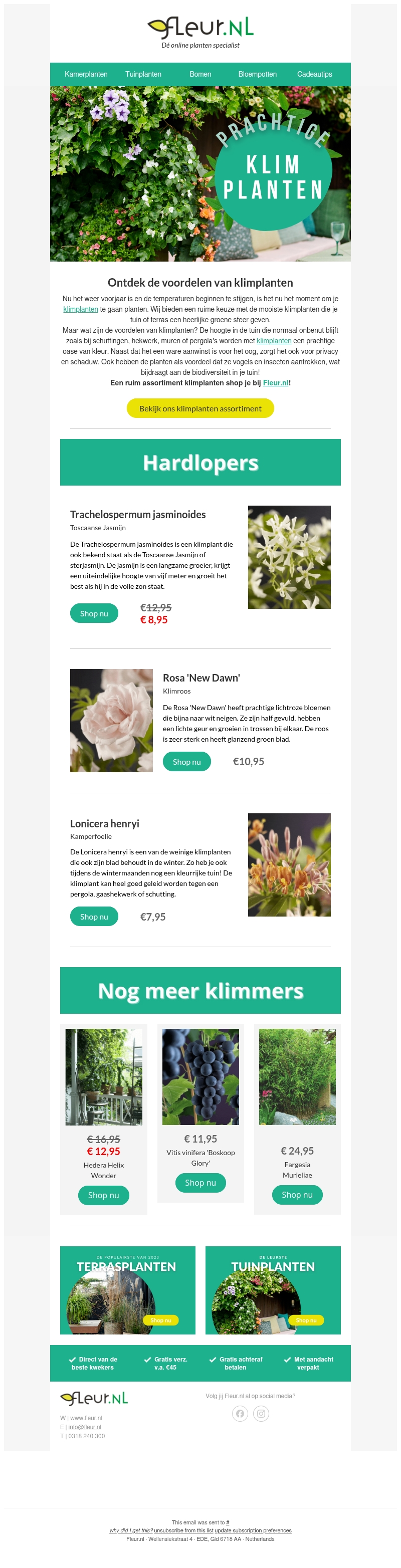 klimplanten 🌿 | Fleur je schutting, muur of hekwerk op! klimplanten 🌿 | Fleur je schutting, muur of hekwerk op!