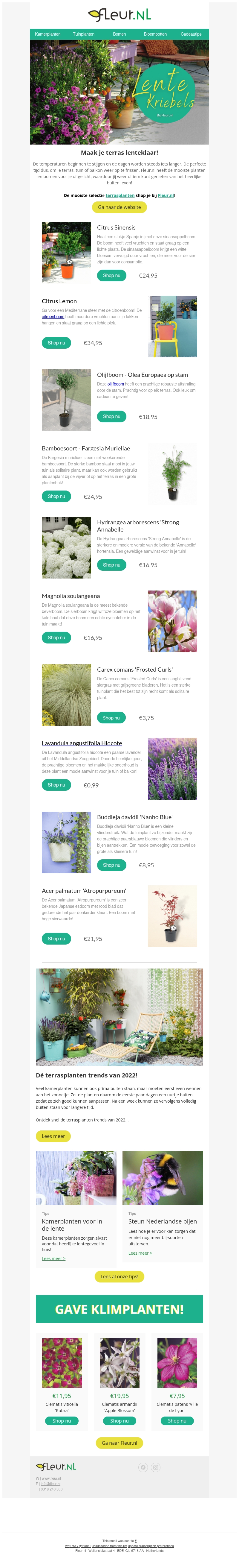 Maak je terras alvast lenteklaar 🌼 De mooiste buitenplanten vind je bij Fleur.nl! Maak je terras alvast lenteklaar 🌼 De mooiste buitenplanten vind je bij Fleur.nl!