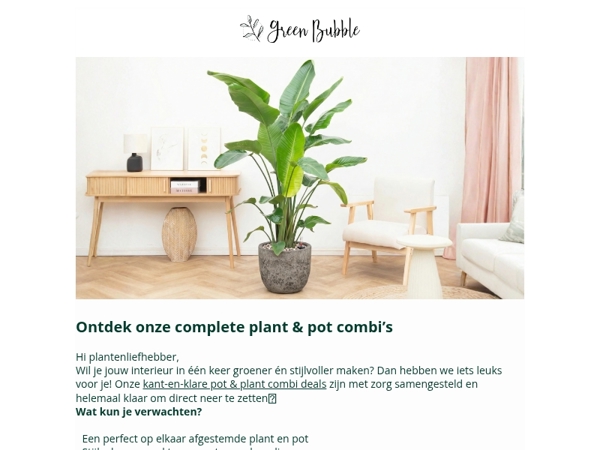 Shop vandaag jouw opgemaakte plant in pot🪴