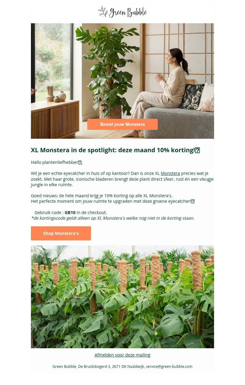 Transformeer je huis met een XL Monstera🌿 Transformeer je huis met een XL Monstera🌿