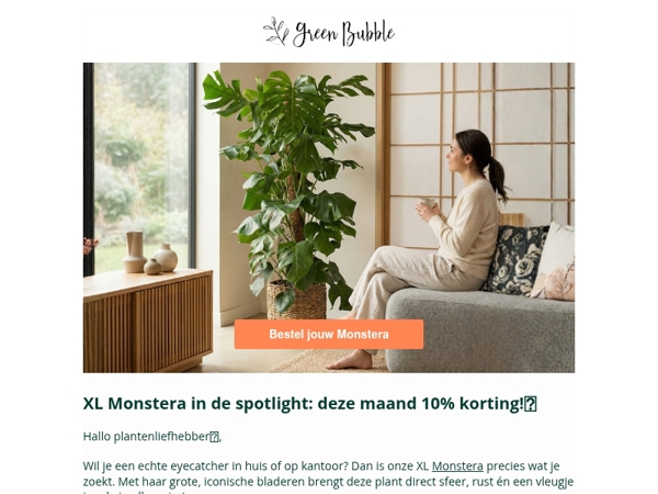Transformeer je huis met een XL Monstera🌿