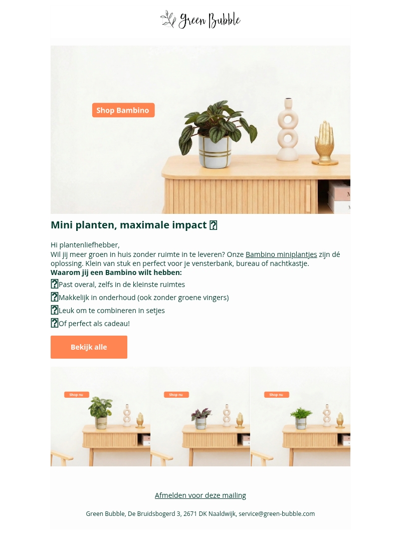NIEUW: Ontdek onze Bambino miniplantjes😍🌱 NIEUW: Ontdek onze Bambino miniplantjes😍🌱