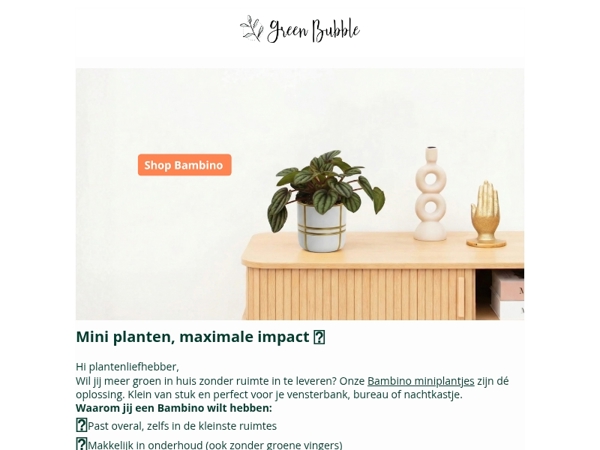 NIEUW: Ontdek onze Bambino miniplantjes😍🌱