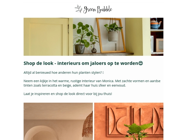 Groen thuis : laat je inspireren door andere interieurs🌱