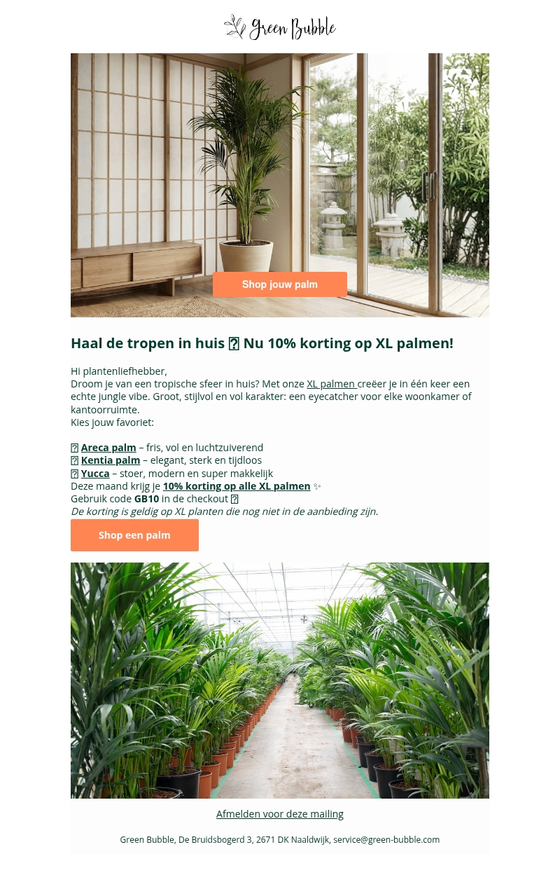 Haal de tropen in huis met een XL palm🌴 Haal de tropen in huis met een XL palm🌴