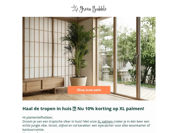 Haal de tropen in huis met een XL palm🌴