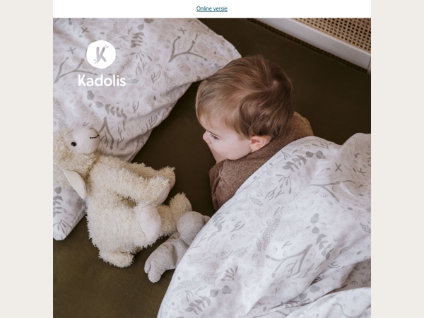 Vergemakkelijk de stap naar een groot bed met onze onmisbare producten