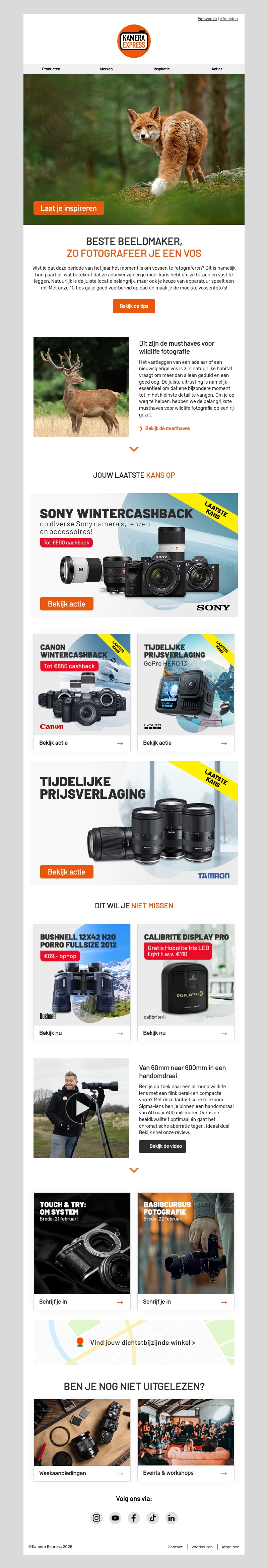 10 tips om vossen te fotograferen 10 tips om vossen te fotograferen