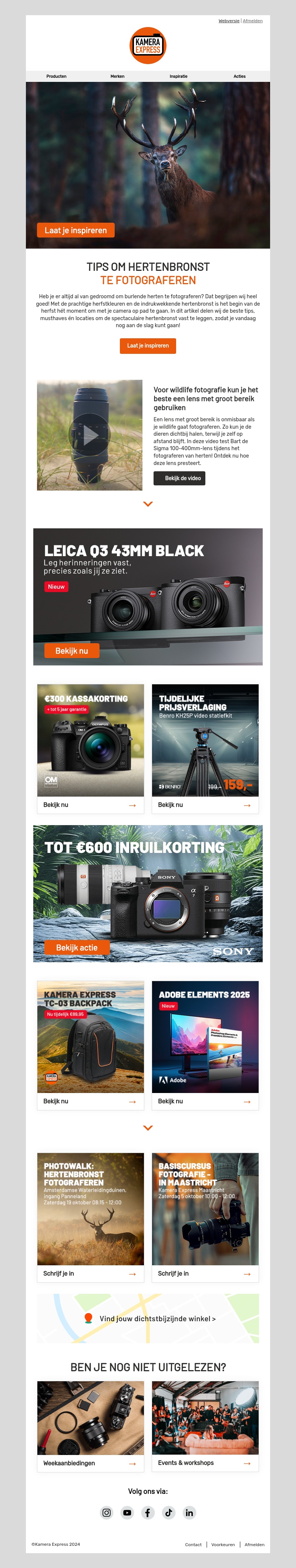 Wildlife fotografie in de herfst: fotografeer burlende herten Wildlife fotografie in de herfst: fotografeer burlende herten