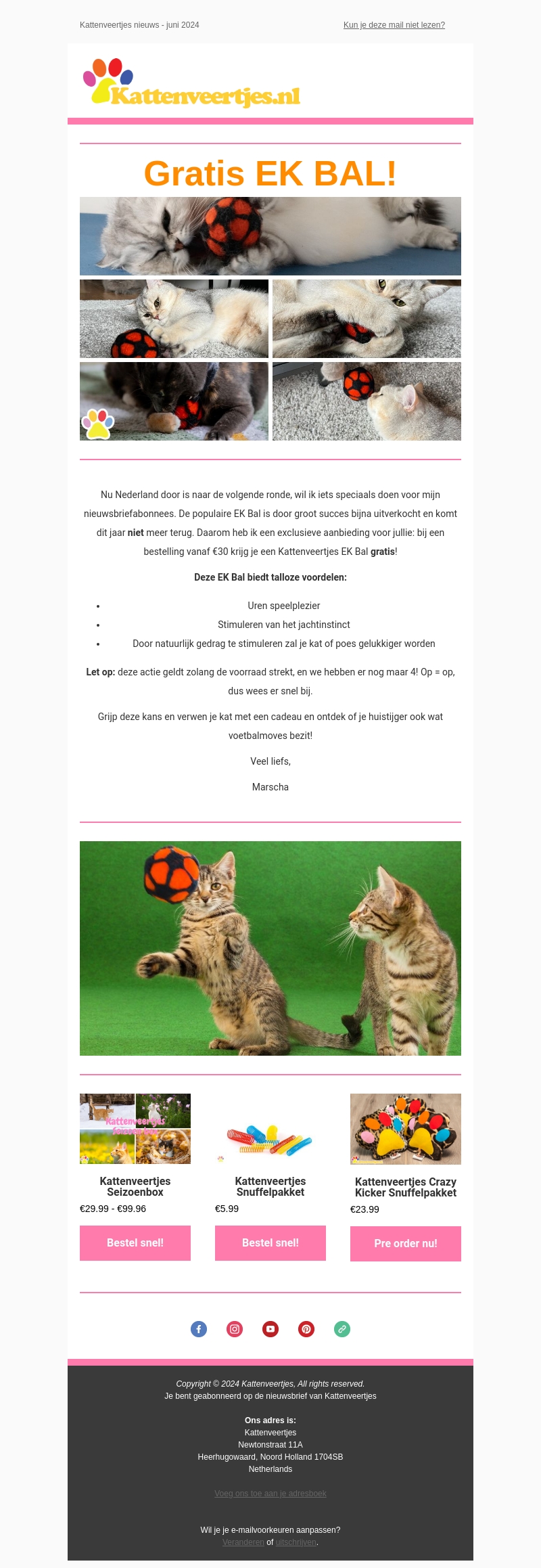 Speciaal voor nieuwsbriefabonnees!π» Speciaal voor nieuwsbriefabonnees!π»