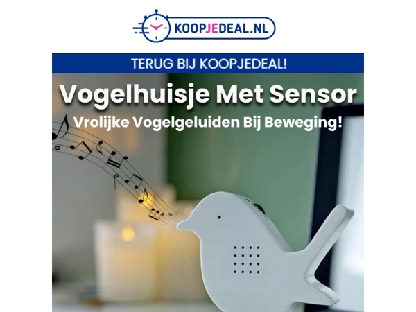 Vrolijke Vogelgeluiden in Huis? 🎶