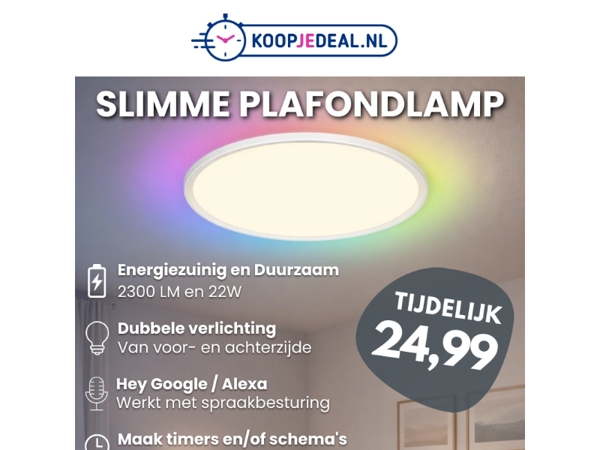 Nieuw: Slimme Plafondlamp 24,99 😱