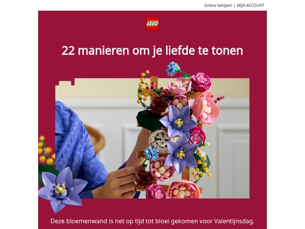 Nog steeds op zoek naar het perfecte Valentijnscadeau, LEGO® fan?