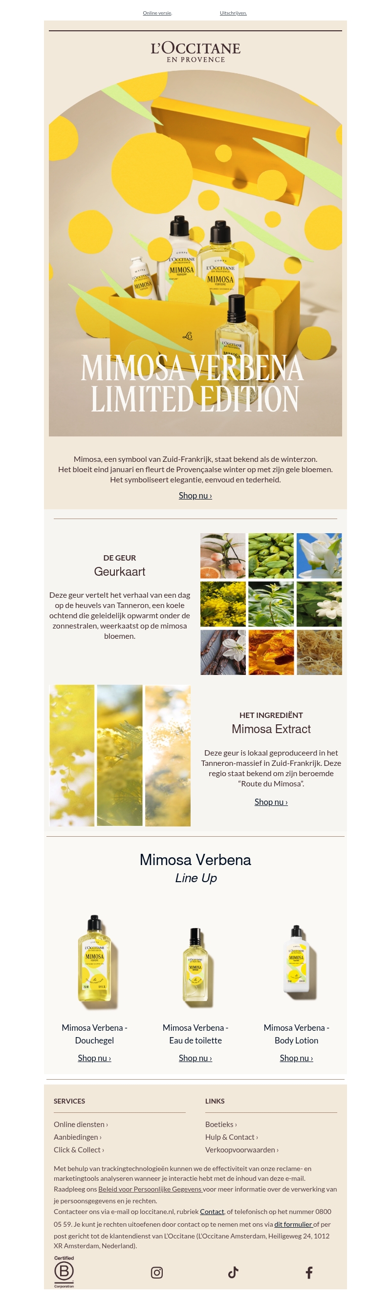 Ontdek de frisse charme van Mimosa Verbena Ontdek de frisse charme van Mimosa Verbena