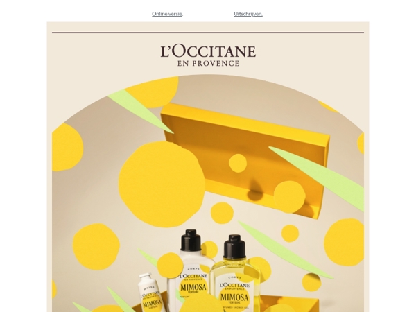 Ontdek de frisse charme van Mimosa Verbena