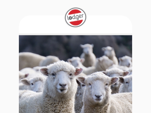 Merinowol — dé winter must-have voor je baby 🐑