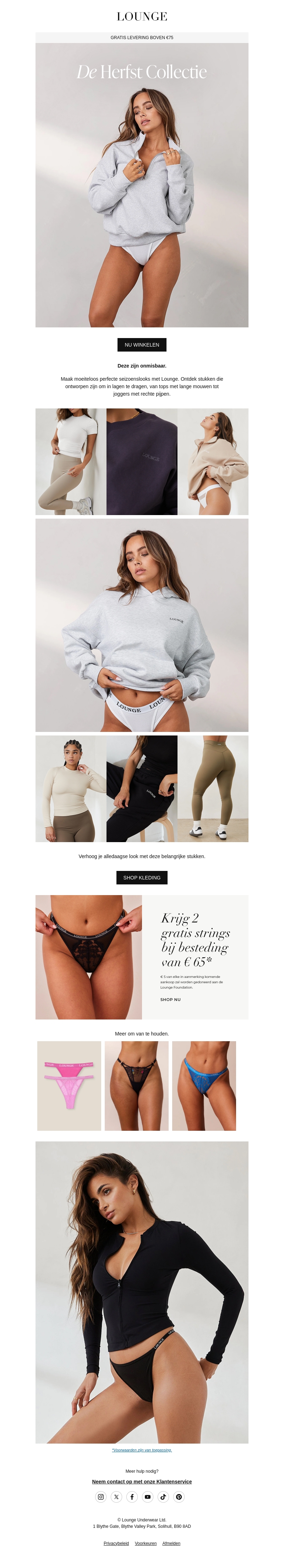 De herfst collectie De herfst collectie