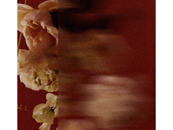 Massimo Dutti Paper | Feb.14