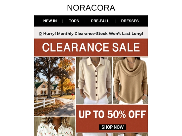 🚨 Hurry, Our Monthly Clearance Sale Is About to End!