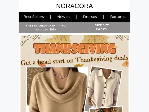 🎁Thanksgiving Pre-Sale: Big Savings Inside✨