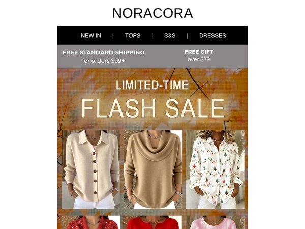 ⚡ Last Chance! Flash Sale Ends Soon!⏳